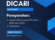Loker Karyawati Kumon Citraland Puri Serang 2025: Lulusan SMA Terbaru Dicari!