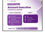 Lowongan Kerja Account Executive MyRepublic – Cilegon & Serang (Terbaru 2025)