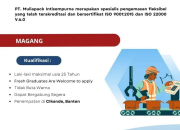 Lowongan Kerja Magang PT Muliapack Intisempurna Cikande Banten 2026