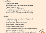 Lowongan Kerja Dog Sitter di Mimi Dog Hotel Terbaru 2026