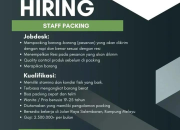Lowongan Kerja Staff Packing di Packaroo 2026 – Gaji di Atas 2,5 Juta!