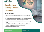 Lowongan Kerja Production Group Leader PT Avia Avian Tbk (Avian Brands) Penempatan Serang 2026