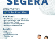 Lowongan Kerja Sales Executive Daihatsu Terbaru 2026 – Area Banten