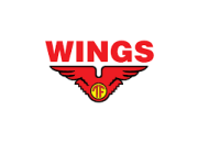 Lowongan Kerja PT Aneka Mitra Gemilang (Wings Group) Terbaru 2026