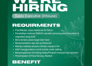 Loker Padma Serang Terbaru 2026: Lowongan Kerja Sales Executive (Inhouse)