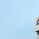Lowongan Kerja PT Astra Honda Motor Terbaru Tahun 2026