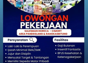 Lowongan Kerja Salesman Horeca Cimory Pandeglang & Rangkasbitung (CV Ada Guna Megah) 2026